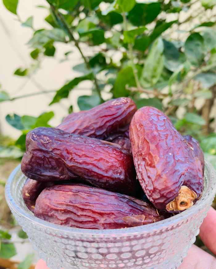 Amber Dates (Amber Khajoor)